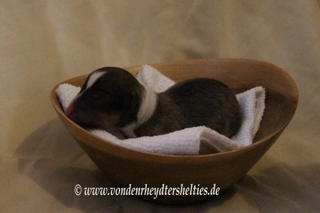 19.06.2014  14.00 Uhr  A-Wurf  A4